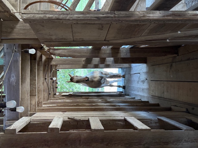 Sanctuary facilities