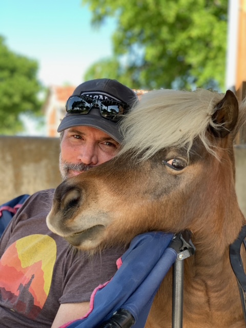 Sanctuary horse