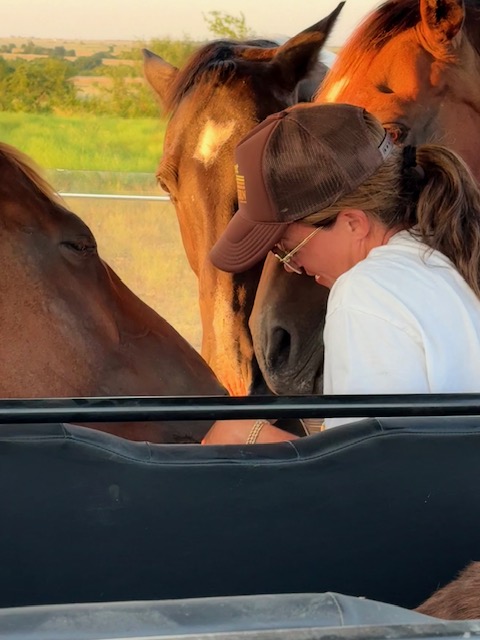 Sanctuary horse
